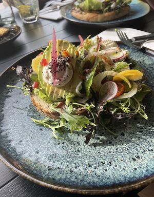   at The Blue Zone in Alkmaar