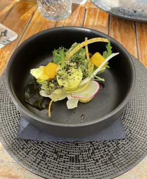   at The Blue Zone in Alkmaar