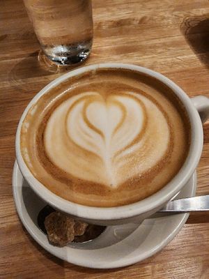 Oat milk cappuccino   at True Food Kitchen in Annapolis