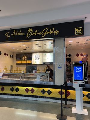 Signage  at The Alkaline Electric Goddess in Indianapolis