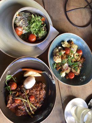   at Gribus in Barneveld