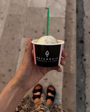   at Botanovic in Makarska