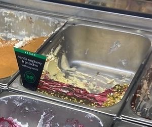 Unico gusto segnalato vegan   at Botanovic in Makarska