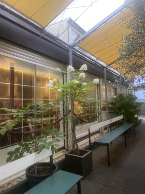   at The Braze in Frankfurt