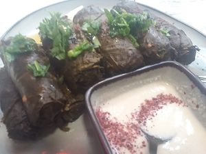 Stuffed grape leaves at Kouj in Bayonne