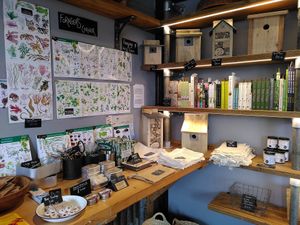 Foraging corner at Really Wild Emporium in Haverfordwest