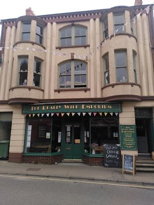  at Really Wild Emporium in Haverfordwest