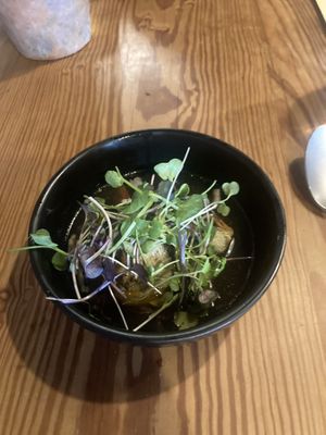   at Really Wild Emporium in Haverfordwest