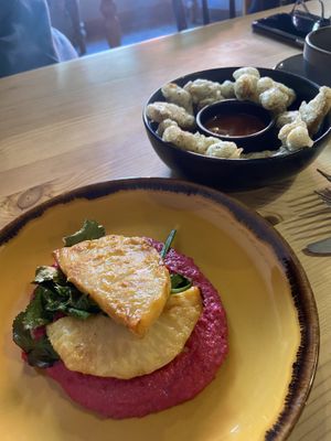   at Really Wild Emporium in Haverfordwest