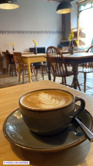   at Really Wild Emporium in Haverfordwest