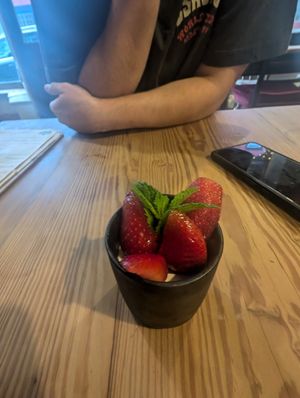 Panocotta at Really Wild Emporium in Haverfordwest