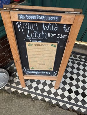  at Really Wild Emporium in Haverfordwest