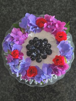  at La Pasticceria Vegana in Baronissi