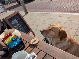  at TJ's & Steakasaurus Eatery & Bar in Weymouth