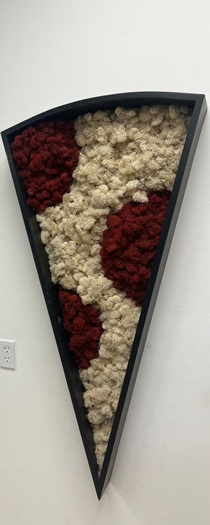   at Meek's Vegan Pizza in Houston