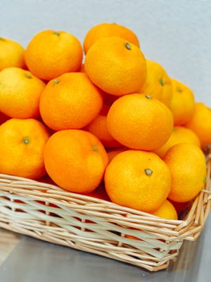 Orange at Hatoya's Vegan Fruit Sandwiches in Tokyo