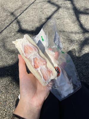 strawberry and mochi sandwich (squished it a bit in my bag 😔) but soooo good  at Hatoya's Vegan Fruit Sandwiches in Tokyo