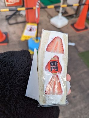  at Hatoya's Vegan Fruit Sandwiches in Tokyo