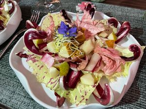 Winter Salat Speciality: Cicorino tardivo - Castelnfranco - Radicchio rosa di Mantova with pears and sprouts at Isolino Ristorante Wine Bar in Locarno