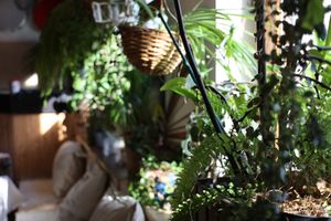  at Das Forró Haus in Stuttgart