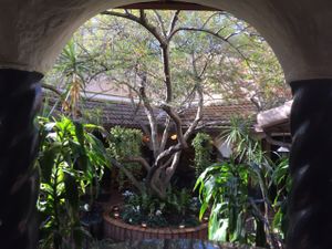 gorgeous setting at Kalachandji's in Dallas