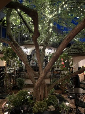   at Kalachandji's in Dallas