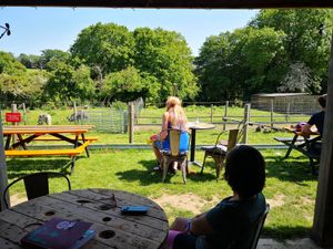 Garden at Spoke Cycles CC in Welwyn