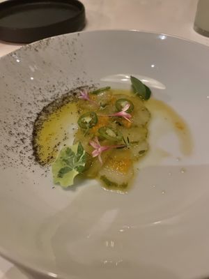 Sous vide radish sashimi at Sueño in Dayton