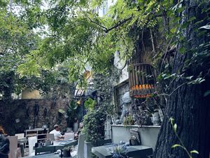   at Aleria Restaurant in Athens