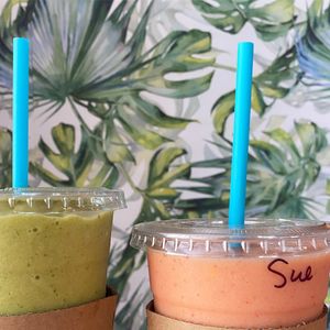 The Green Sea Turtle and The CK Sunrise  at The Prickly Palm in Cedar Key