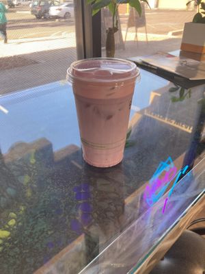   at Steep Tea Company in Phoenix