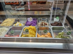  at Eisfvchs in Halle