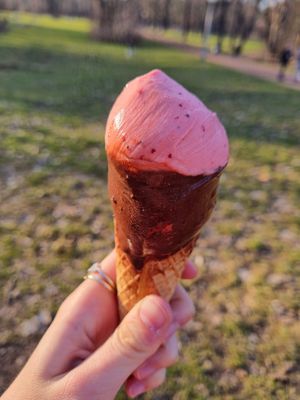 Erdbeere und Zartbitterschokolade at Eisfvchs in Halle