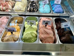 Bottom 4 are vegan ice cream & sorbets   at Miele's Gelateria in Aviemore