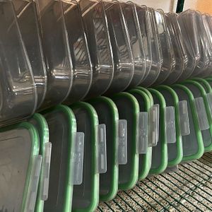 All meals served in reusable containers, creating zero-waste from packaging at  Pit & Seed in San Diego