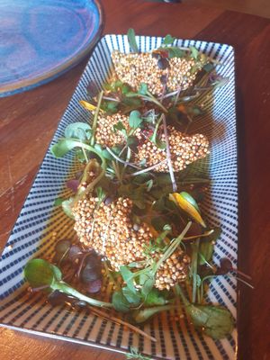 Gyosas at The Streetfood Club in Utrecht