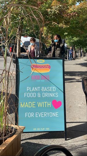 Good dogs at Good Dogs Plant Foods in Vancouver