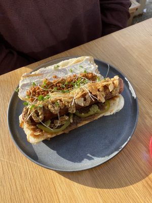 Krakens Lackin dog  at Good Dogs Plant Foods in Vancouver