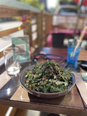 Caesar  at Good Dogs Plant Foods in Vancouver