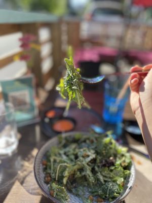Caesar  at Good Dogs Plant Foods in Vancouver