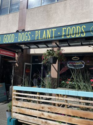 Lovely patio  at Good Dogs Plant Foods in Vancouver
