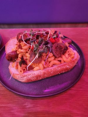 Dog at Good Dogs Plant Foods in Vancouver