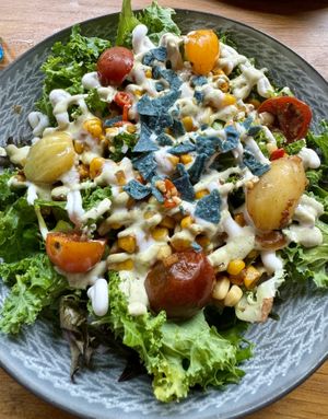   at Good Dogs Plant Foods in Vancouver