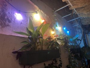 Patio’s lights  at El Rabipelao in Barcelona
