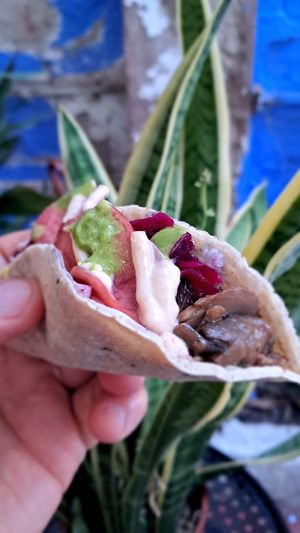 Delicious vegan tacos, 3 for 8€ at El Rabipelao in Barcelona