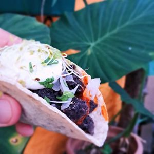Vegan tacos at El Rabipelao in Barcelona