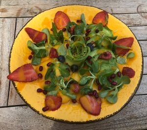 Beautifully arranged avocado-mango carpaccio. 💫😋  at A Vocados in Platja Daro