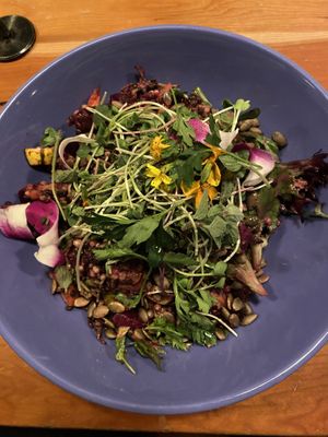 Grain bowl  at Zero Gravity Craft Brewery in Burlington