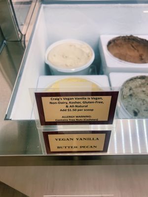 Vegan cashew ice cream at Santa Claus House - North Pole Alaska in North Pole