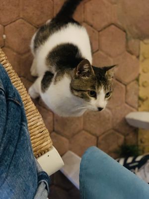   at Takis Taverna in Crete